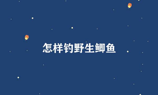 怎样钓野生鲫鱼