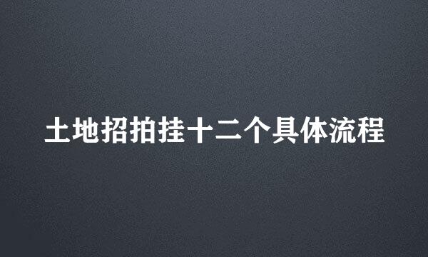 土地招拍挂十二个具体流程