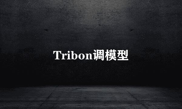 Tribon调模型