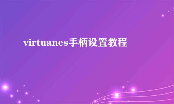 virtuanes手柄设置教程