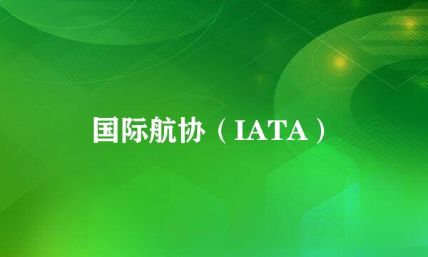 国际航协（IATA）