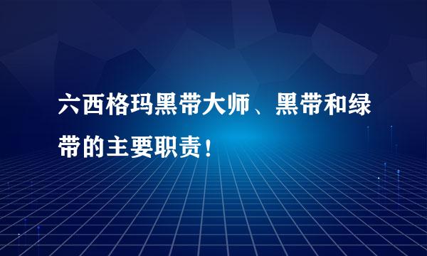 六西格玛黑带大师、黑带和绿带的主要职责！