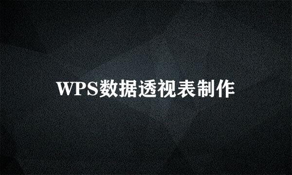 WPS数据透视表制作