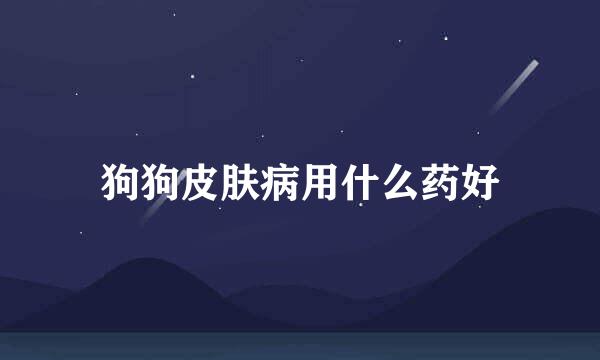 狗狗皮肤病用什么药好