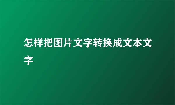 怎样把图片文字转换成文本文字