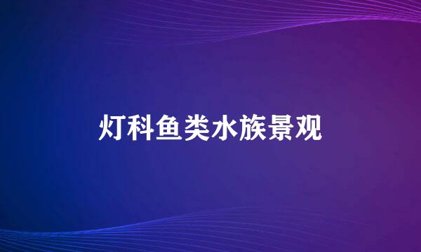 灯科鱼类水族景观
