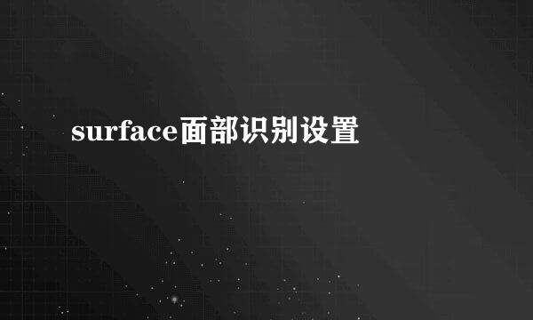 surface面部识别设置