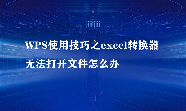 WPS使用技巧之excel转换器无法打开文件怎么办