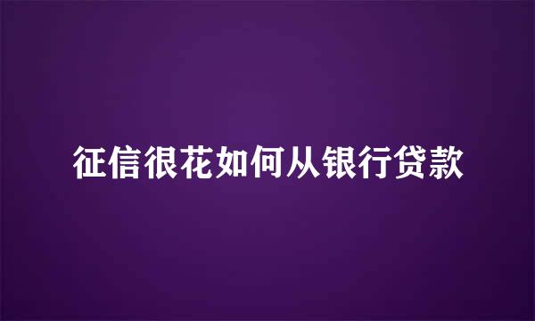 征信很花如何从银行贷款