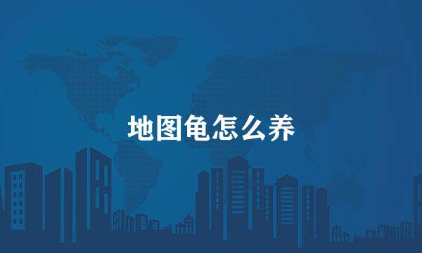 地图龟怎么养