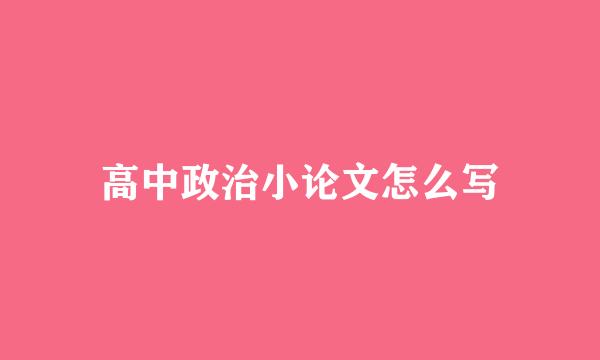 高中政治小论文怎么写