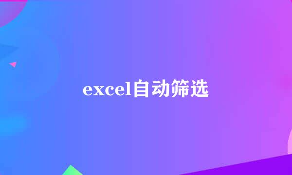 excel自动筛选