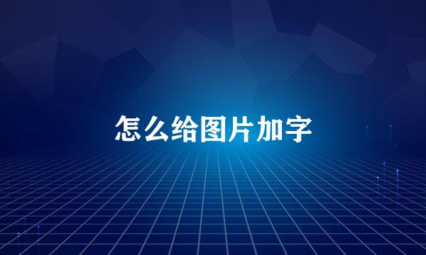 怎么给图片加字