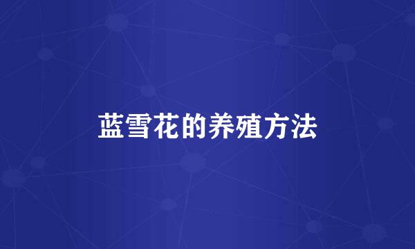 蓝雪花的养殖方法