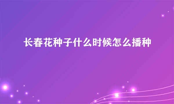 长春花种子什么时候怎么播种