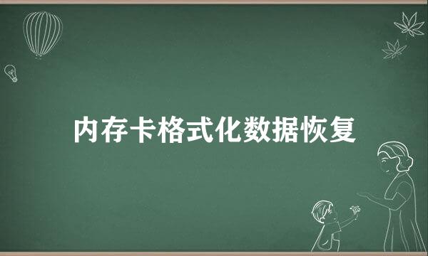 内存卡格式化数据恢复