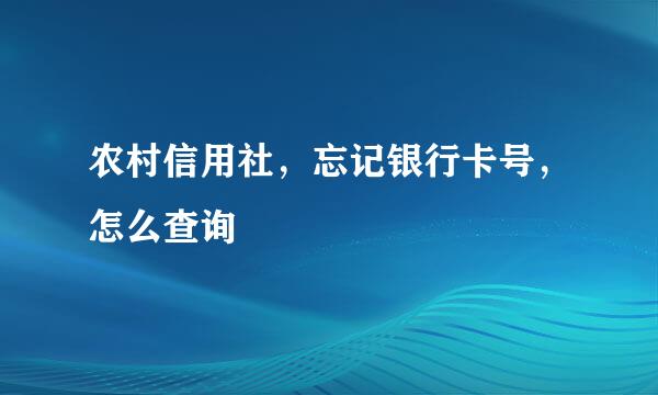 农村信用社，忘记银行卡号，怎么查询