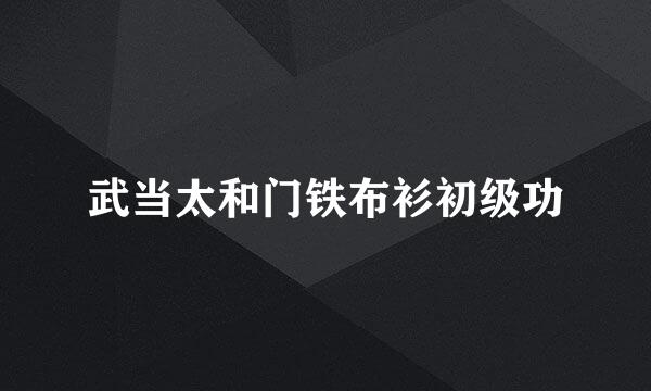 武当太和门铁布衫初级功