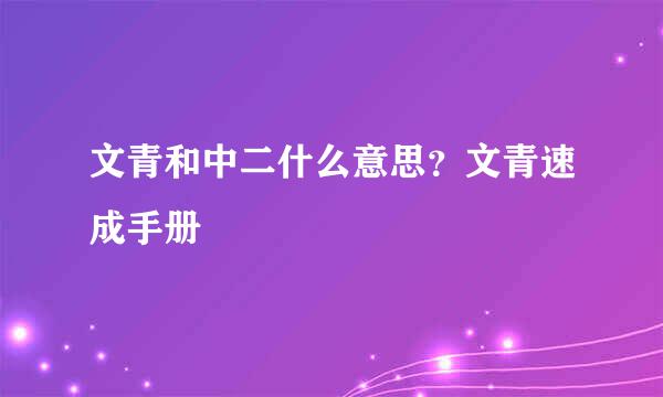 文青和中二什么意思？文青速成手册