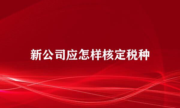 新公司应怎样核定税种