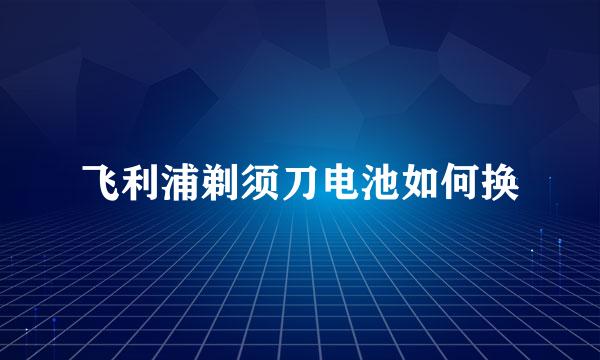 飞利浦剃须刀电池如何换