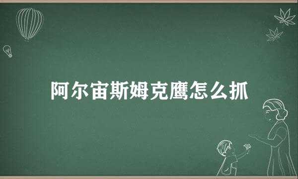 阿尔宙斯姆克鹰怎么抓