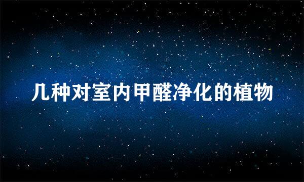 几种对室内甲醛净化的植物