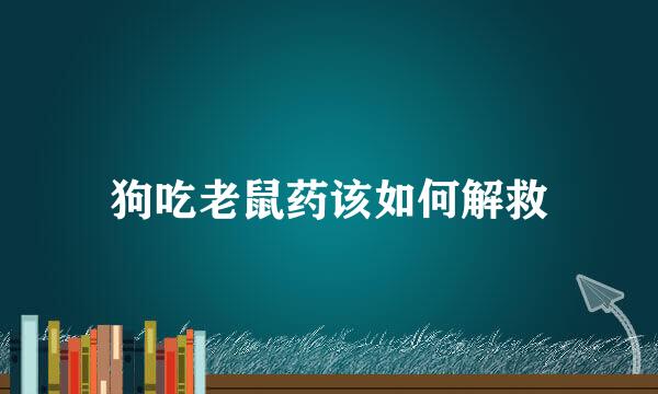 狗吃老鼠药该如何解救