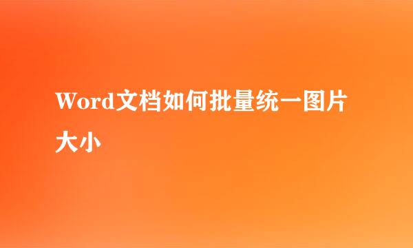 Word文档如何批量统一图片大小