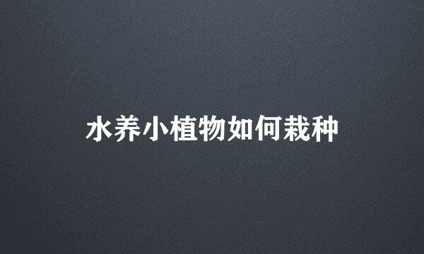 水养小植物如何栽种