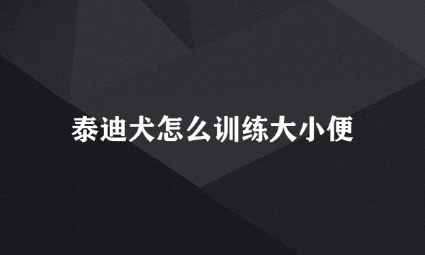 泰迪犬怎么训练大小便