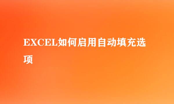 EXCEL如何启用自动填充选项