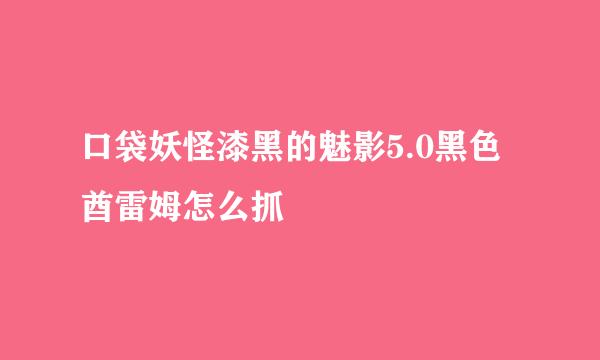 口袋妖怪漆黑的魅影5.0黑色酋雷姆怎么抓