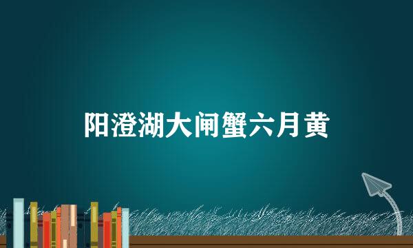 阳澄湖大闸蟹六月黄