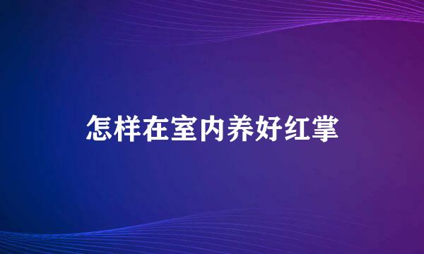 怎样在室内养好红掌