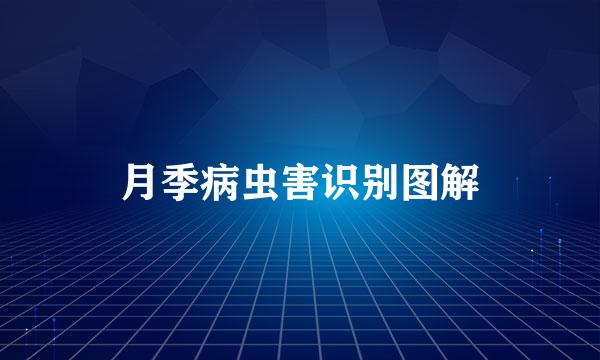 月季病虫害识别图解