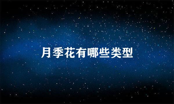 月季花有哪些类型
