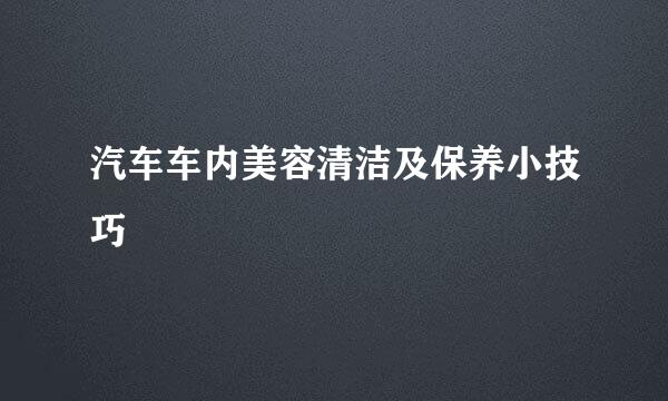 汽车车内美容清洁及保养小技巧