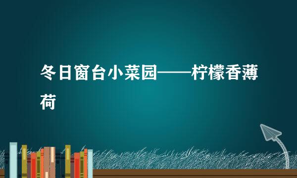 冬日窗台小菜园——柠檬香薄荷