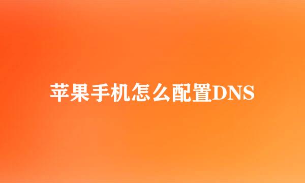 苹果手机怎么配置DNS