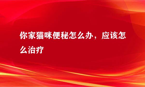 你家猫咪便秘怎么办，应该怎么治疗