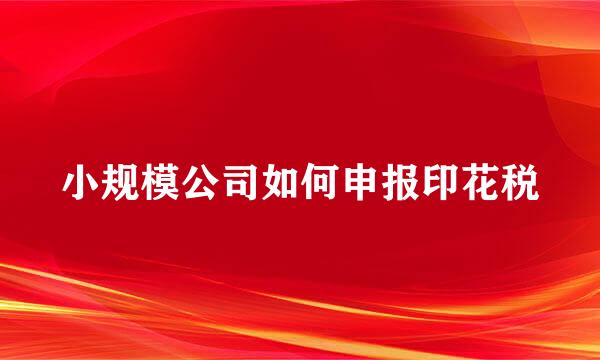小规模公司如何申报印花税