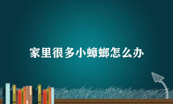 家里很多小蟑螂怎么办