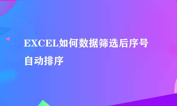EXCEL如何数据筛选后序号自动排序