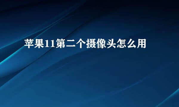 苹果11第二个摄像头怎么用