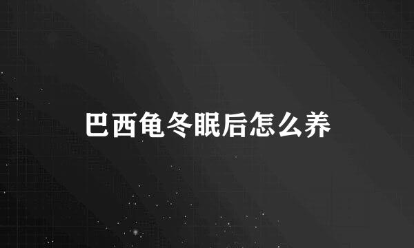 巴西龟冬眠后怎么养