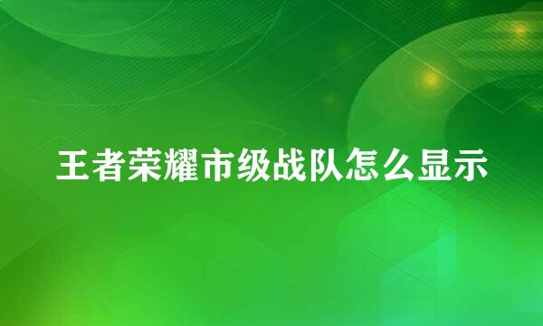 王者荣耀市级战队怎么显示