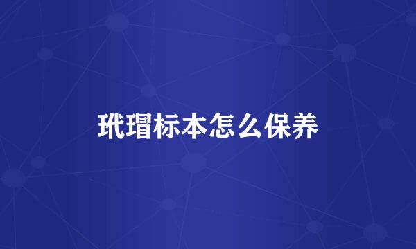 玳瑁标本怎么保养
