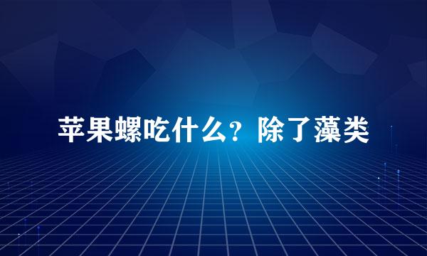 苹果螺吃什么？除了藻类