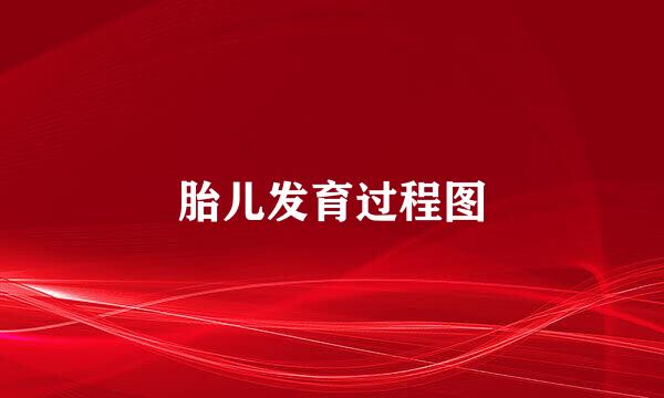 胎儿发育过程图